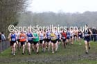 Mens under-20s Inter Counties Cross Country, Prestwold Hall, Loughborough. Photo: David T. Hewitson/Sports for All Pics